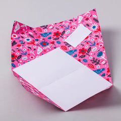 Fiesta Pigeon, Folding Stationery Letter Pack