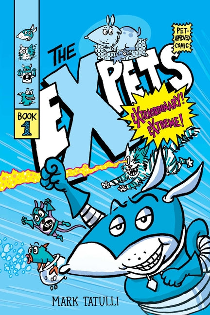 The Expets #1