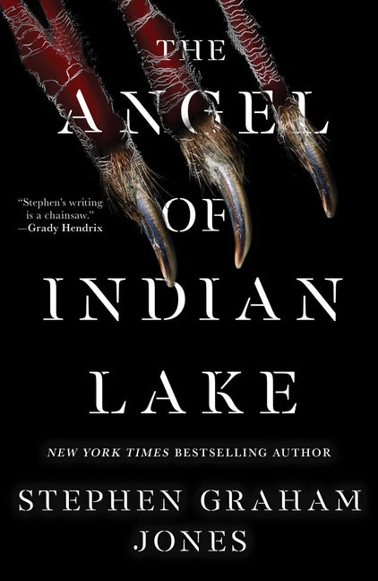 The Angel of Indian Lake (The Indian Lake Trilogy #3)