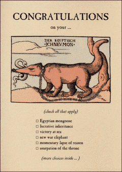 Egyptian Mongoose Card