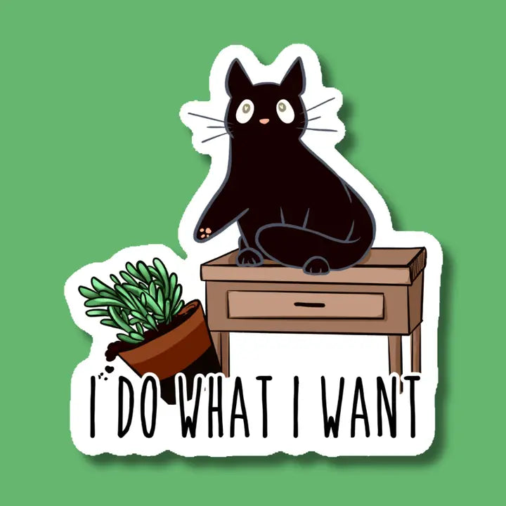 I do what I want Cat